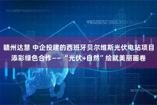 赣州达慧 中企投建的西班牙贝尔维斯光伏电站项目添彩绿色合作—— “光伏+自然”绘就美丽画卷