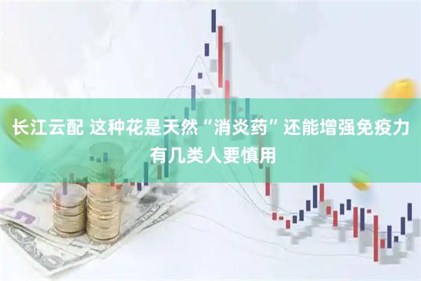 长江云配 这种花是天然“消炎药”还能增强免疫力 有几类人要慎用