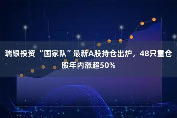 瑞银投资 “国家队”最新A股持仓出炉，48只重仓股年内涨超50%