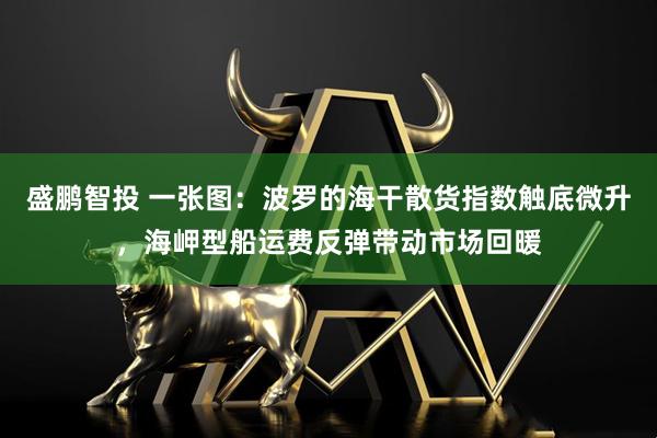 盛鹏智投 一张图：波罗的海干散货指数触底微升，海岬型船运费反弹带动市场回暖